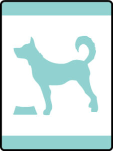 Critter Care Adventure image