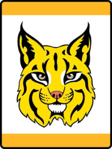 Bobcat Adventure image