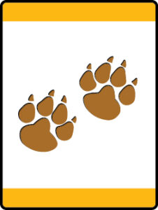 Mountain Lion Adventure image