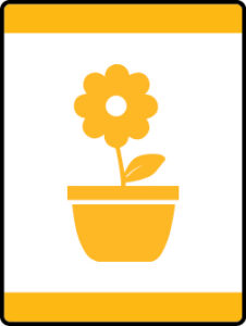 Ready, Set, Grow Adventure image