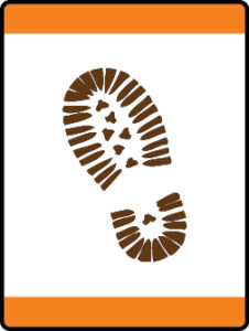 Tigers in the Wild Adventure image