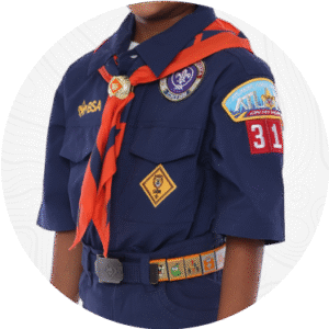 Tiger Uniform image