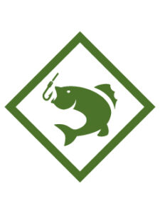 Catch the Big One Adventure image