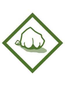 Earth Rocks Adventure image