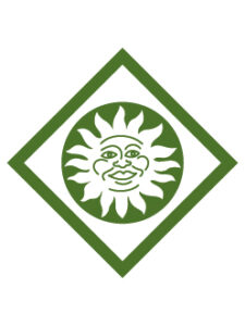 Summertime Fun Activity image